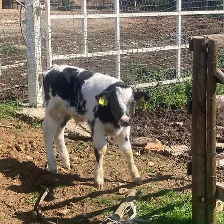 La Corte De I Casali Del Troscio * Capalbio
