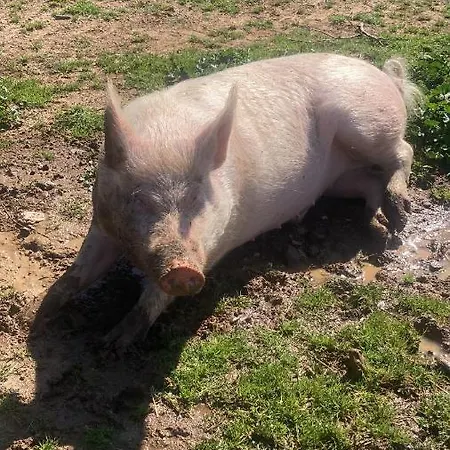 La Corte De I Casali Del Troscio Villa