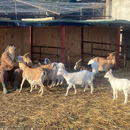 La Corte De I Casali Del Troscio Villa